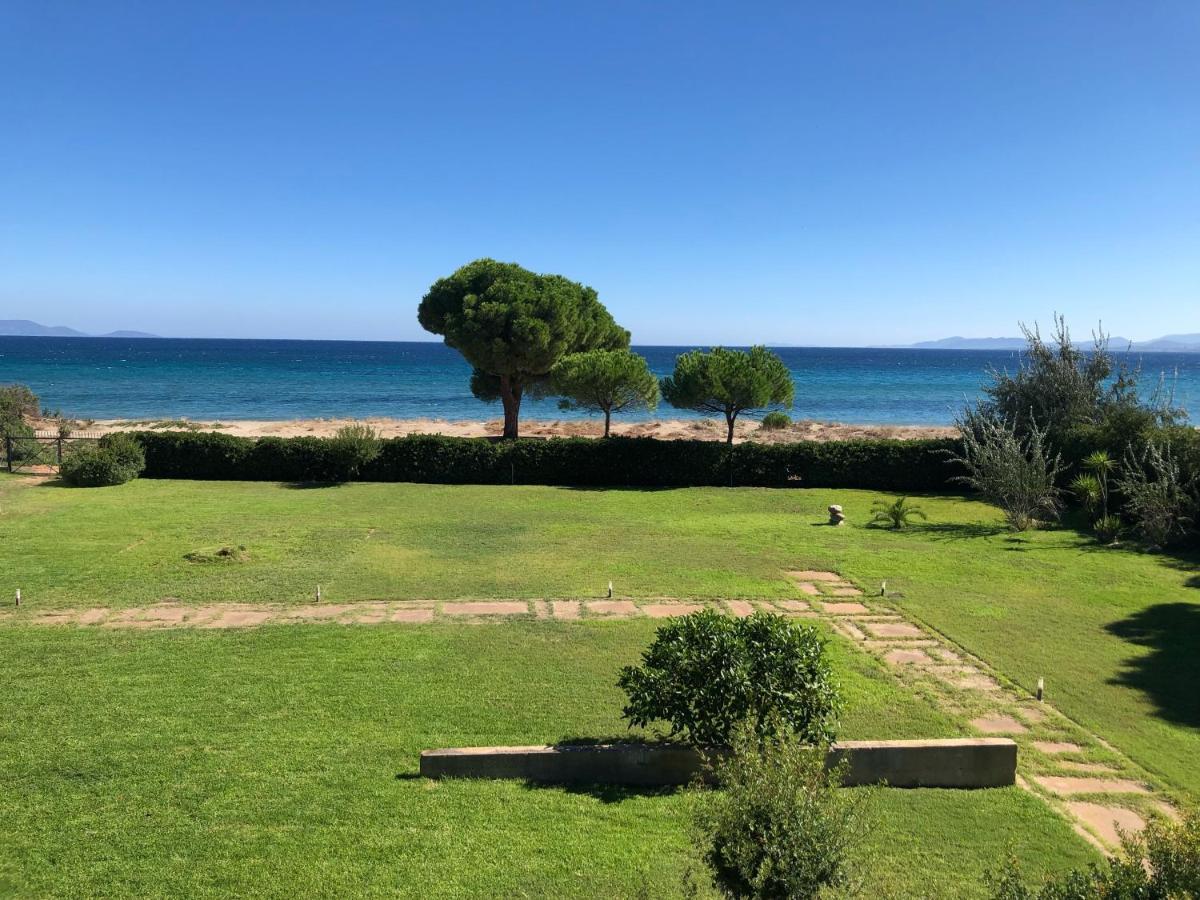 Beachfront Villa Hoopoe Schinias, Marathon מראה חיצוני תמונה