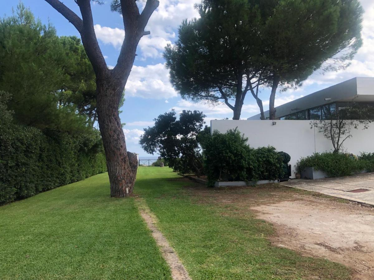Beachfront Villa Hoopoe Schinias, Marathon מראה חיצוני תמונה