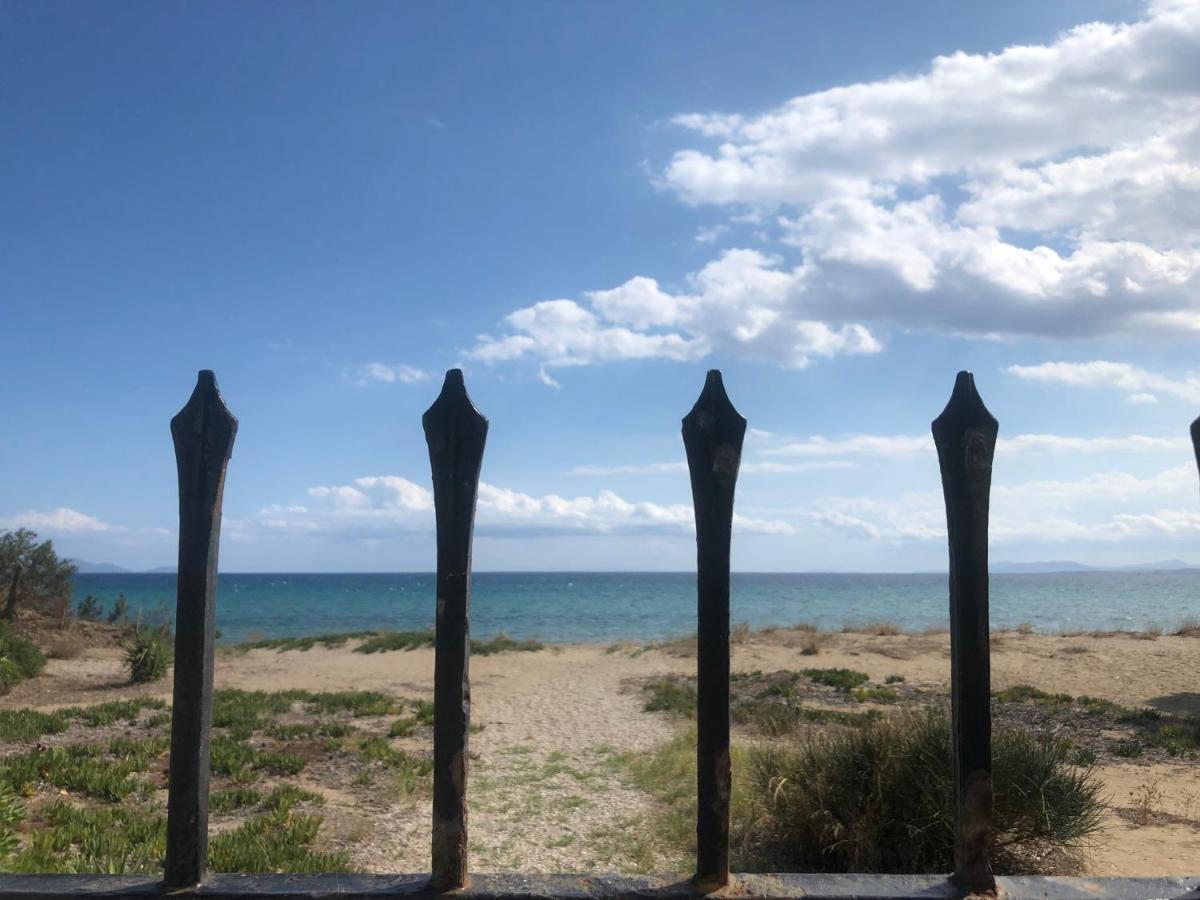 Beachfront Villa Hoopoe Schinias, Marathon מראה חיצוני תמונה