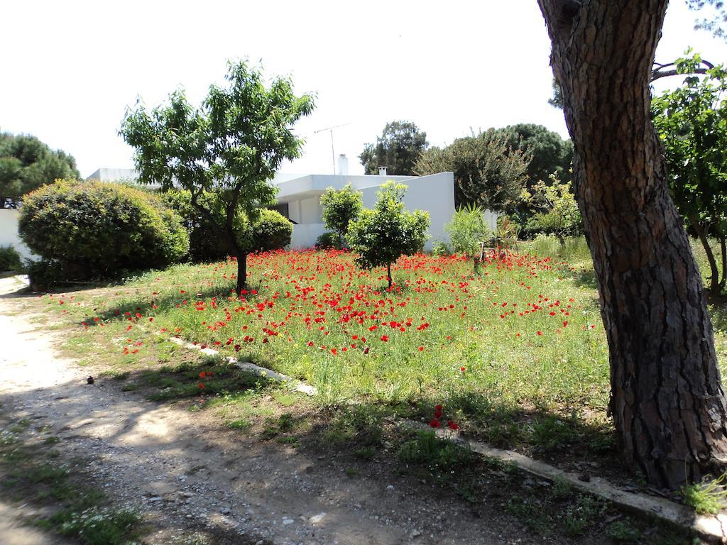 Beachfront Villa Hoopoe Schinias, Marathon חדר תמונה